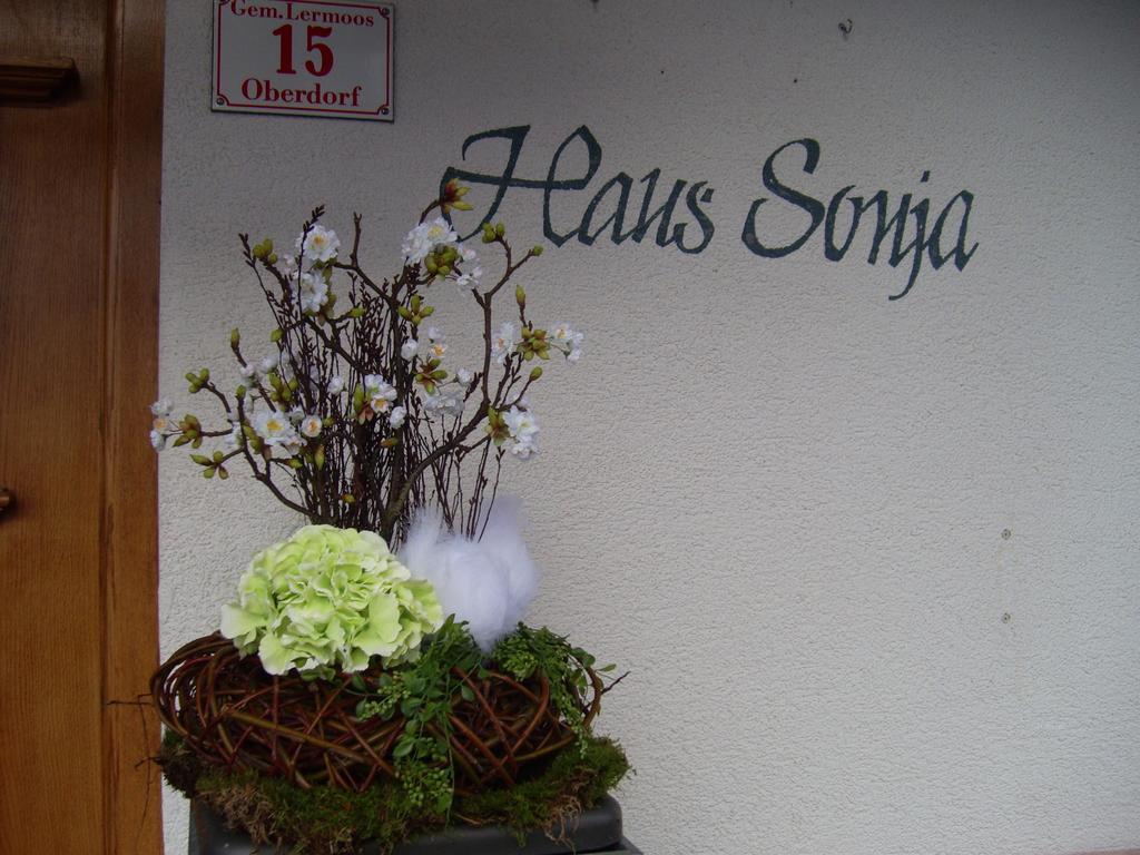 Haus Sonja Lägenhet Lermoos Exteriör bild